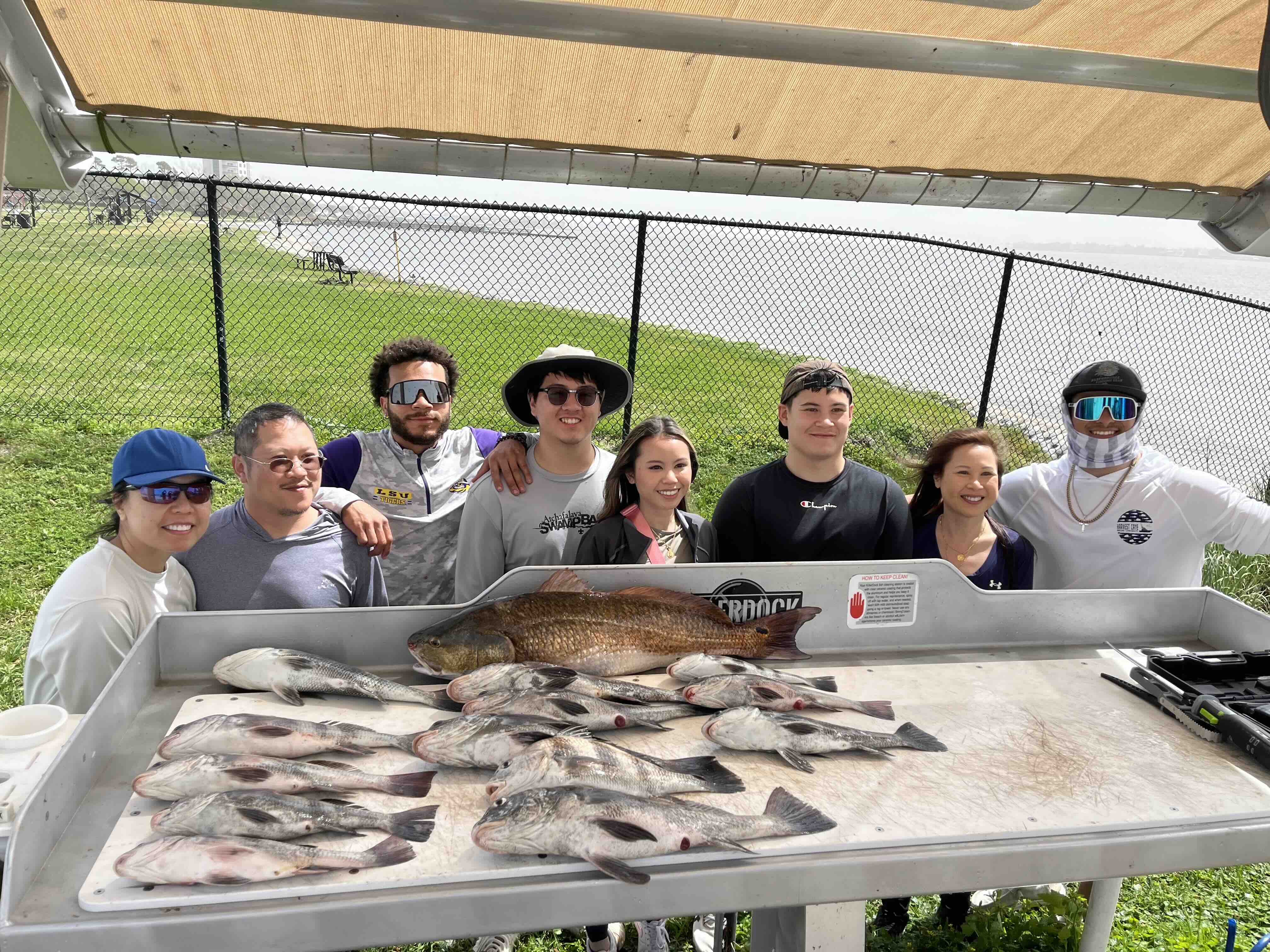 Big Table of Fish