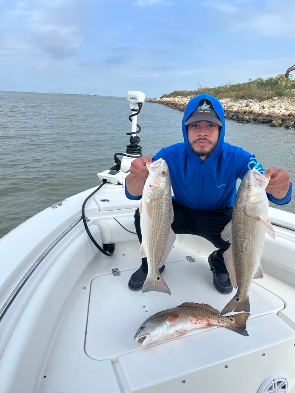 Big Table of Fish